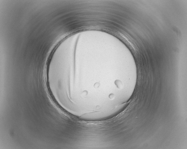 X0000115521084200912181501