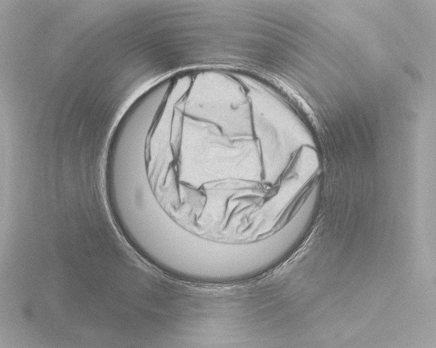 X0000115521085200912181501