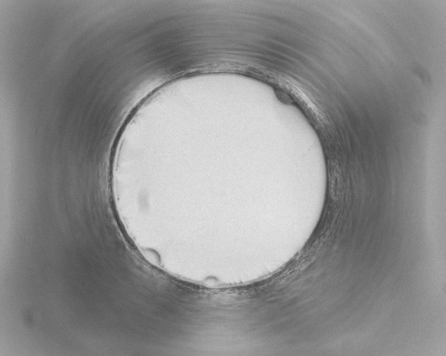 X0000115521087200912181501