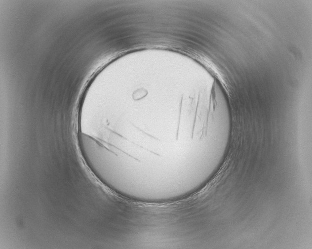 X0000115521088200912181501