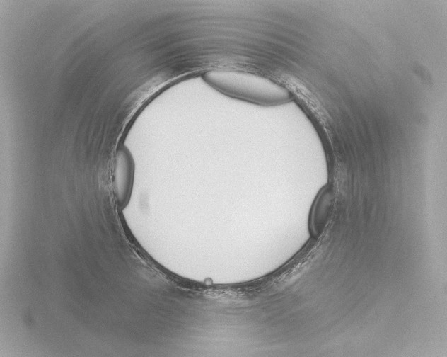 X0000115521089200912181501