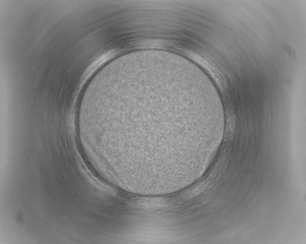 X0000115521090200912181501