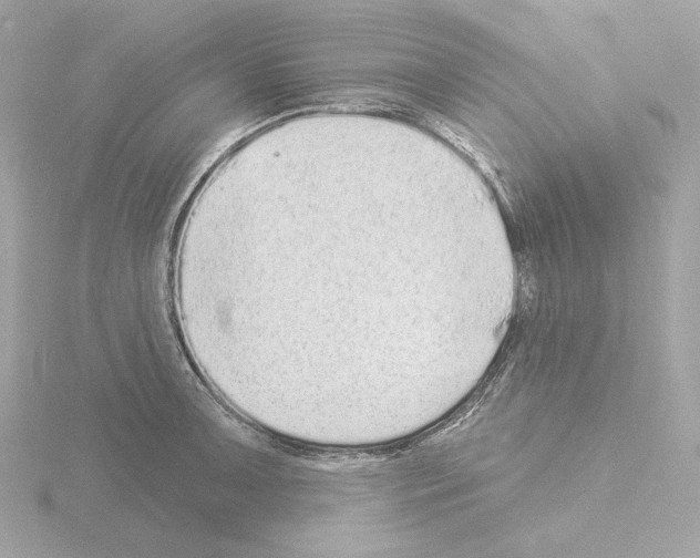 X0000115521091200912181501