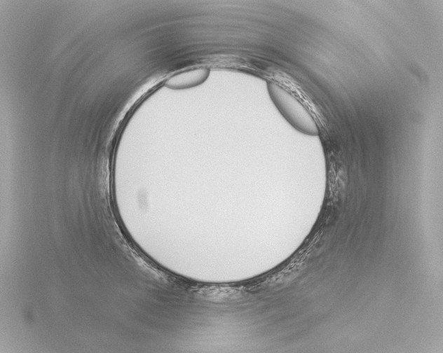 X0000115521092200912181501