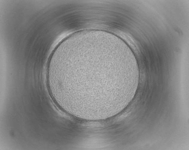 X0000115521094200912181501