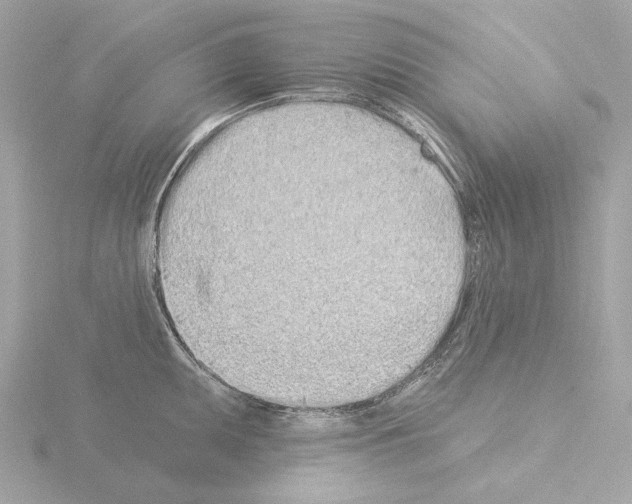 X0000115521095200912181501