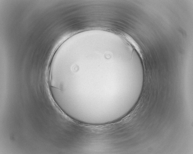 X0000115521096200912181501