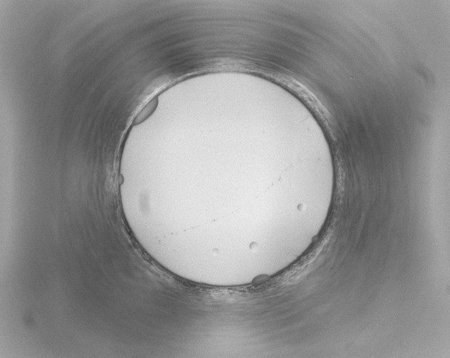 X0000115521097200912181501