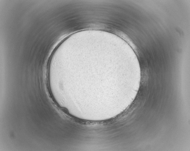 X0000115521099200912181501