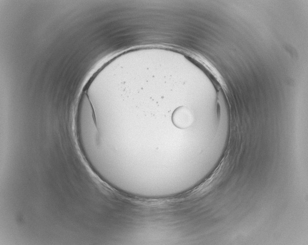 X0000115521101200912181501