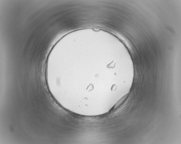 X0000115521102200912181501