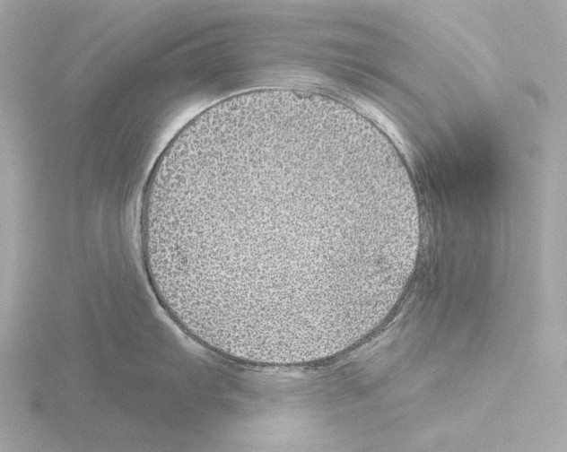 X0000115521103200912181501