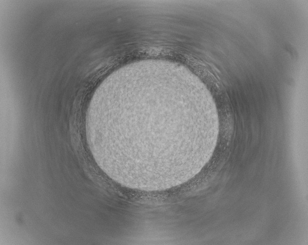 X0000115521105200912181501