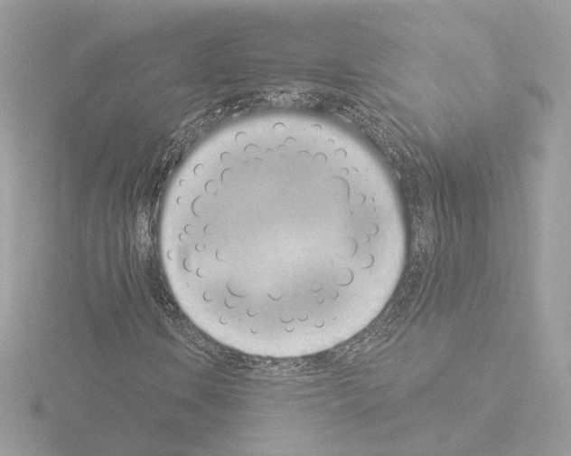 X0000115521106200912181501