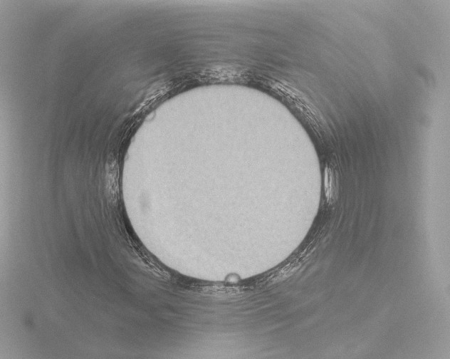 X0000115521107200912181501