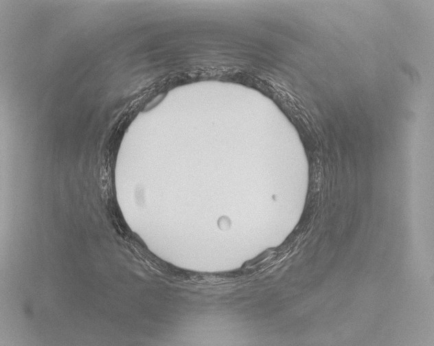 X0000115521109200912181501