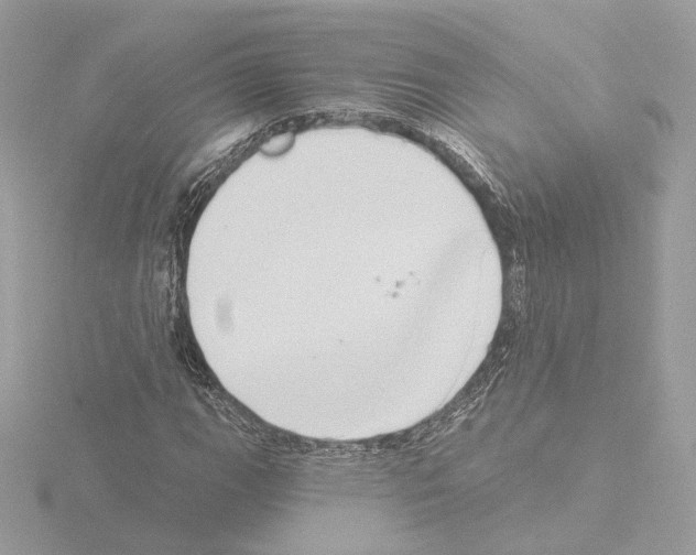 X0000115521111200912181501