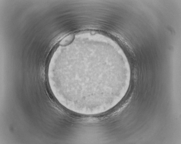 X0000115521113200912181501