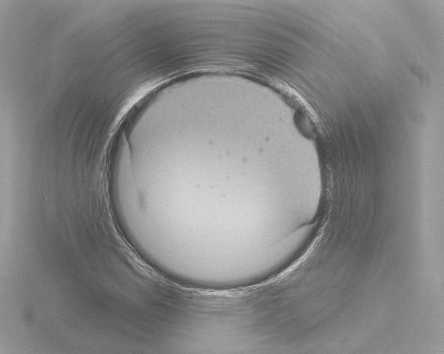 X0000115521114200912181501