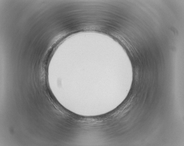 X0000115521115200912181501