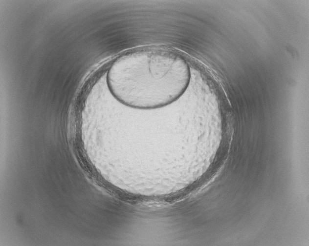 X0000115521117200912181501