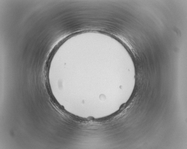 X0000115521119200912181501