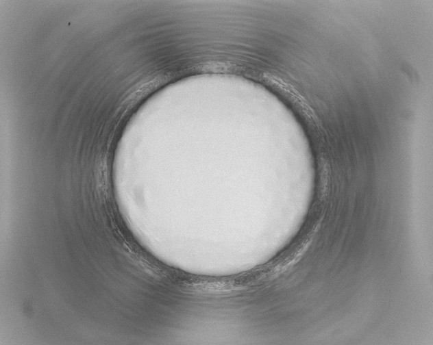 X0000115521121200912181501