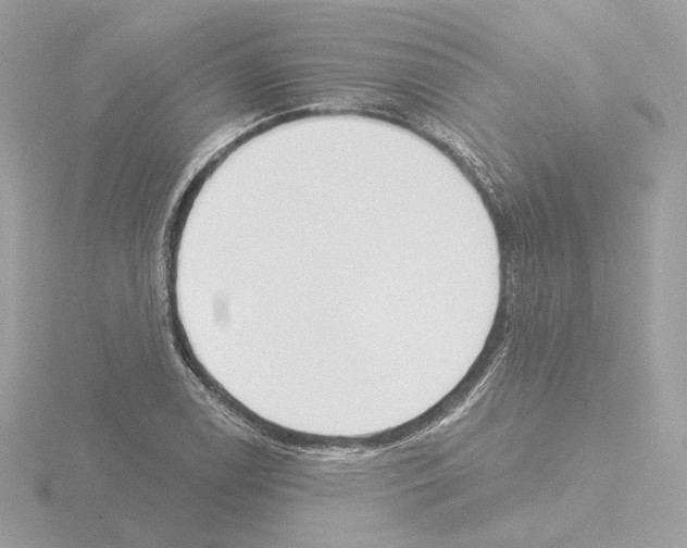 X0000115521122200912181501