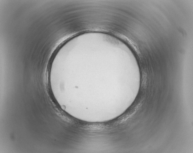 X0000115521125200912181501