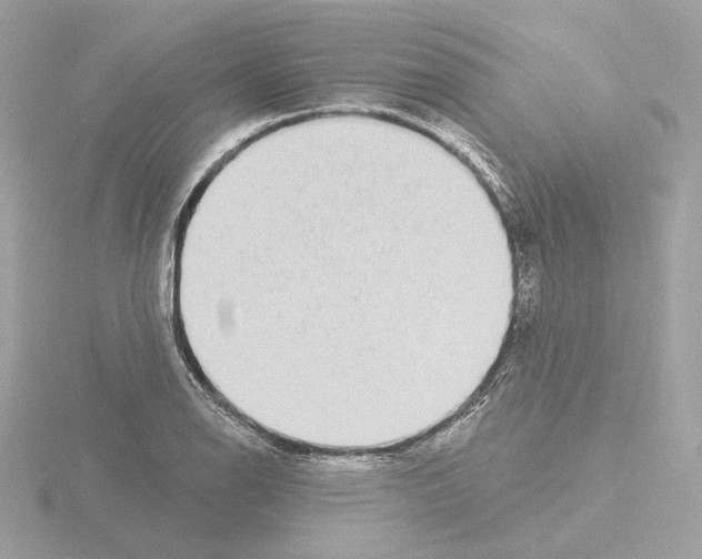 X0000115521126200912181501