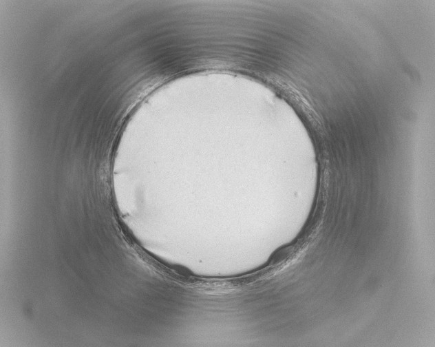 X0000115521129200912181501