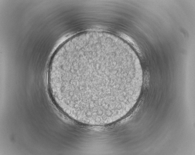 X0000115521130200912181501