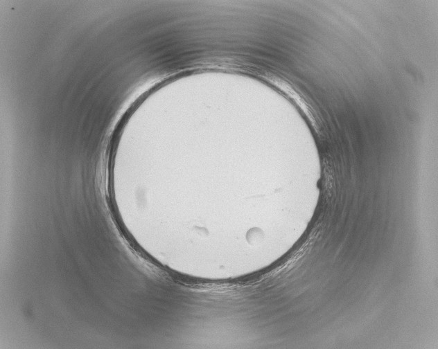 X0000115521131200912181501