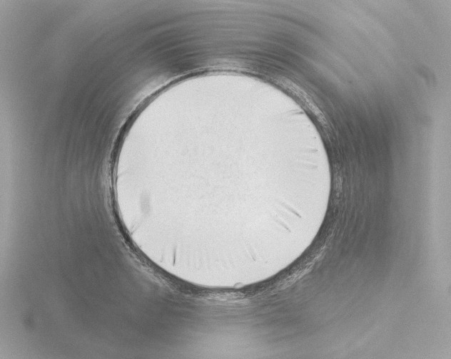 X0000115521133200912181501