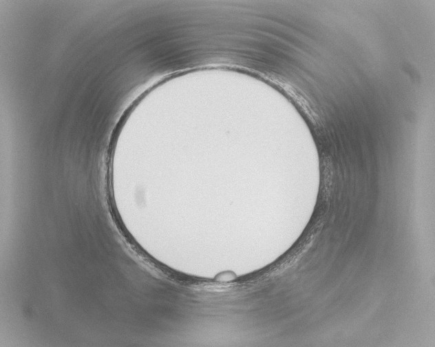 X0000115521134200912181501