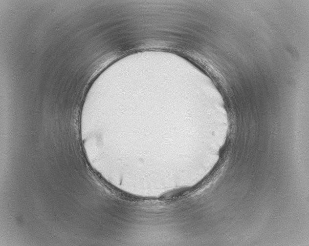 X0000115521137200912181501