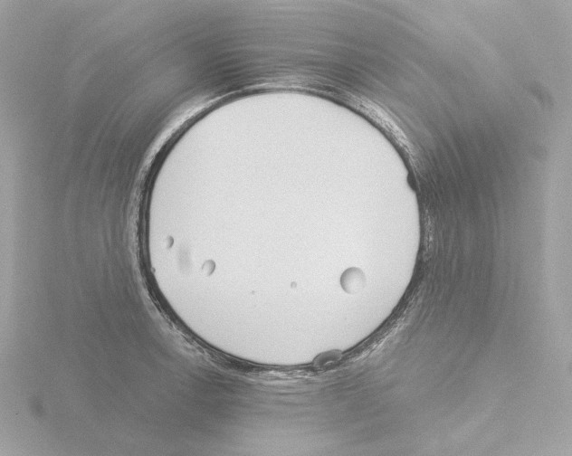 X0000115521138200912181501