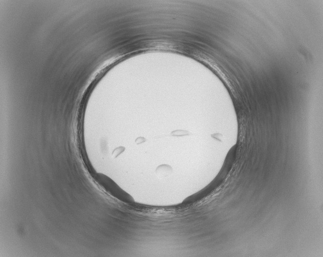 X0000115521139200912181501