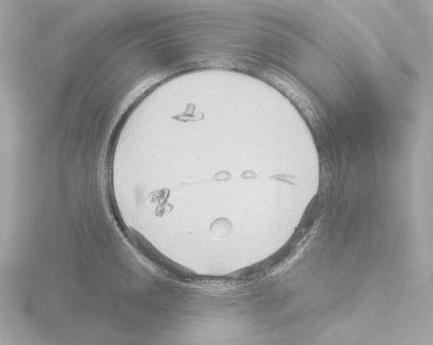 X0000115521141200912181501