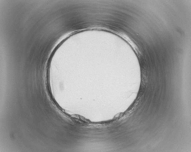 X0000115521142200912181501