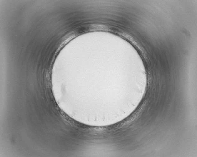 X0000115521145200912181501