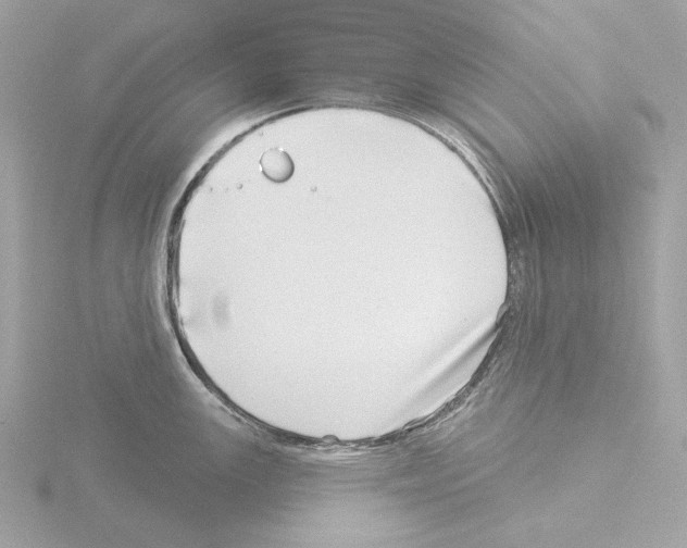 X0000115521147200912181501