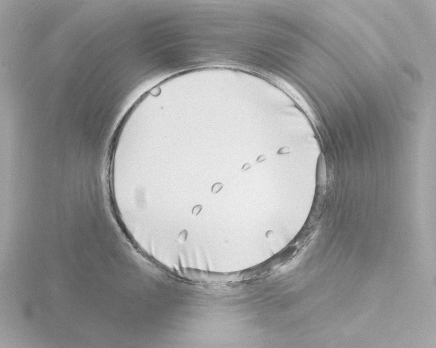 X0000115521149200912181501