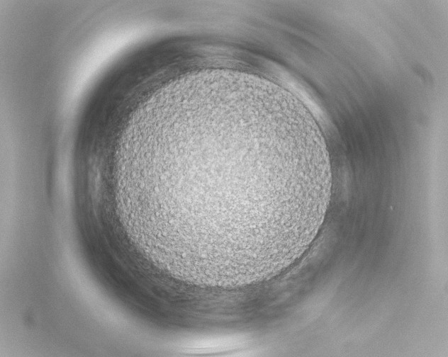 X0000115521150200912181501