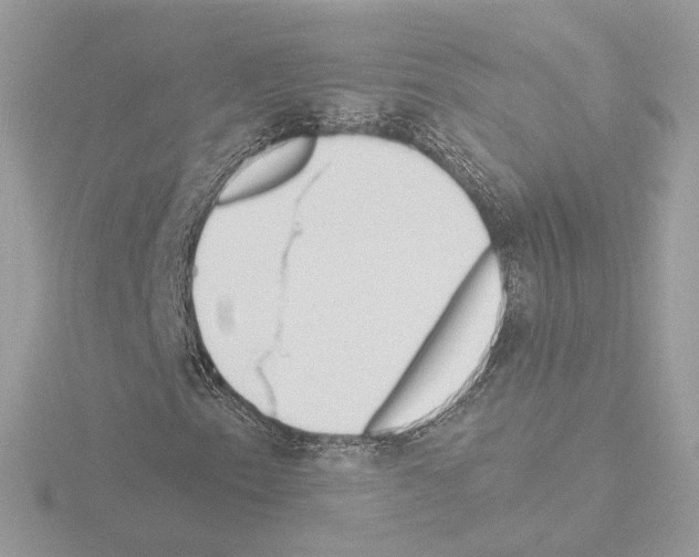 X0000115521153200912181501