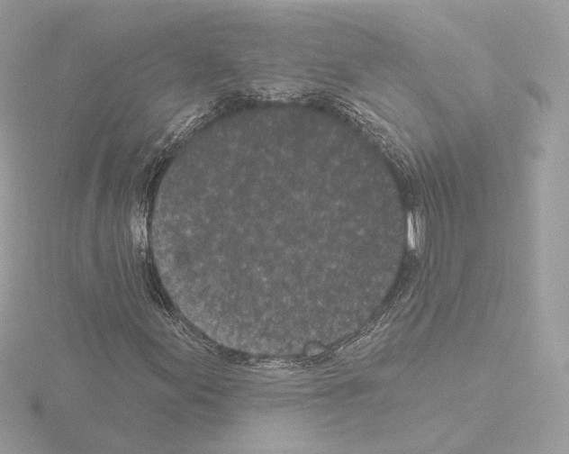 X0000115521155200912181500