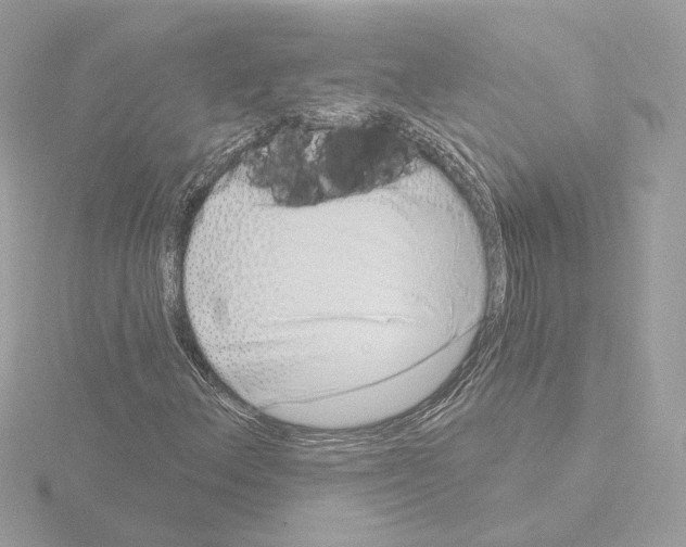 X0000115521156200912181500