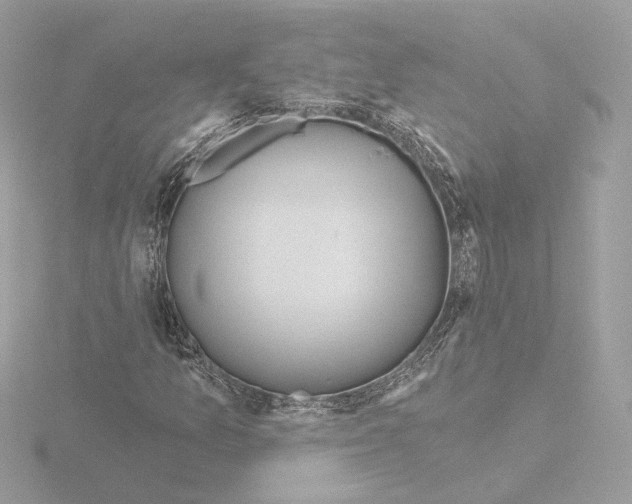 X0000115521157200912181500