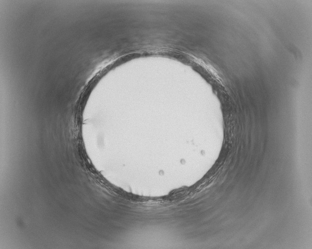 X0000115521160200912181500