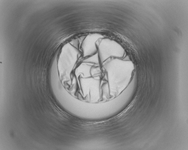 X0000115521161200912181500